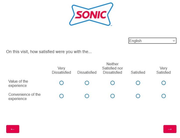 TalkToSonic survey